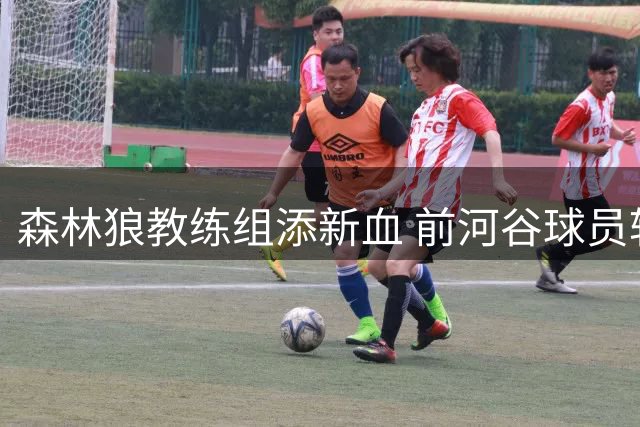 森林狼教练组添新血 前河谷球员转型助教